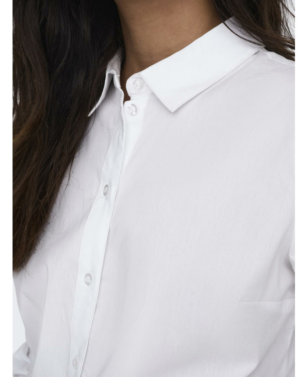 Regular Fit Shirt Collar Long Sleeves (L/S)