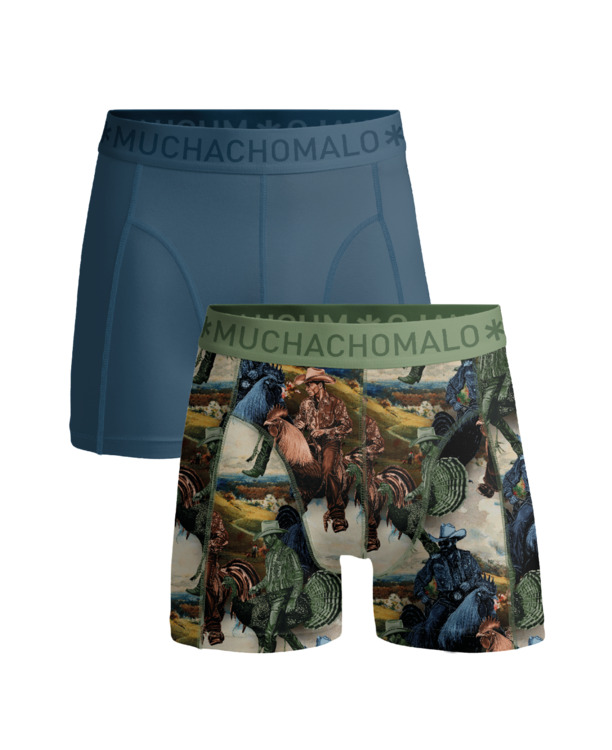 Jongens 2-Pack Boxershorts Print/Effen Print/Blue