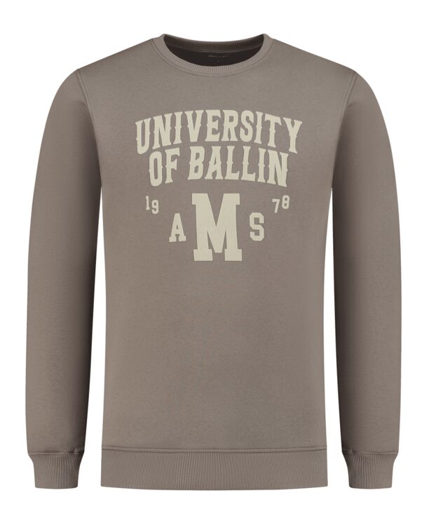 University Print Sweater