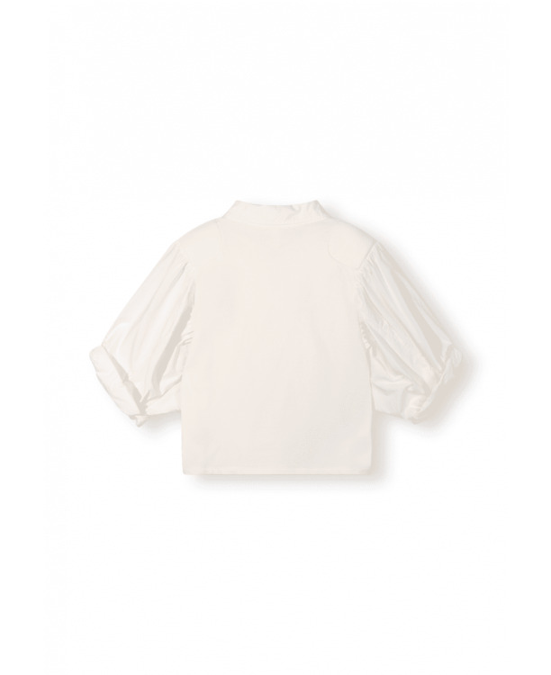 balloon sleeve polo blouse