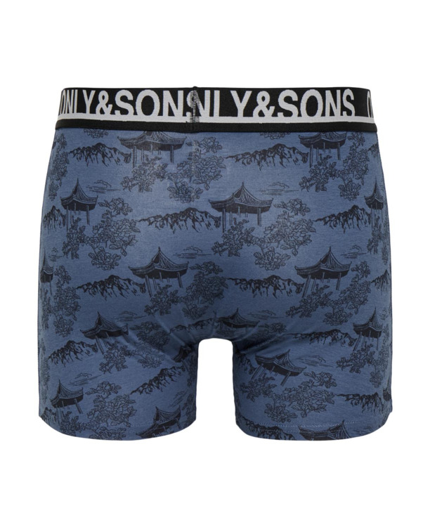 ONSFLOYD AOP TRUNKS 1-PACK Heren