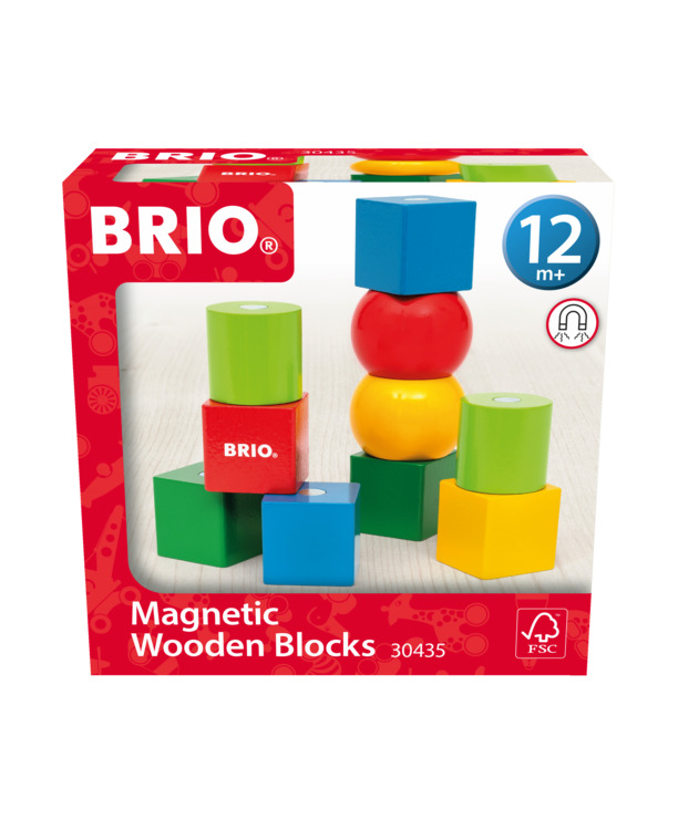 BRIO Houten blokken met magneten