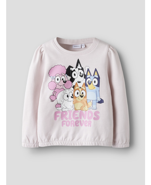 Standaard Pasvorm Ronde Hals Lange Mouwen (L/M) Meisjes