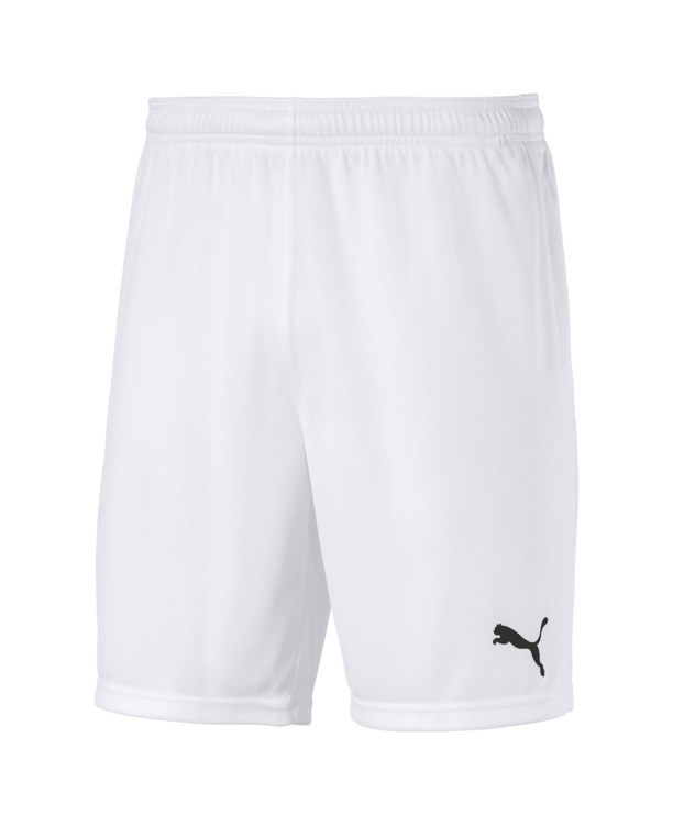 teamGOAL 23 knit Shorts Puma White