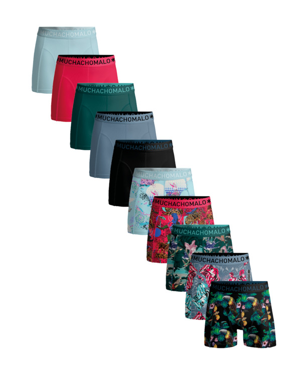 Heren 10-Pack Boxershort Print/Effen Print/Black/Blue/Green/Red/Blue