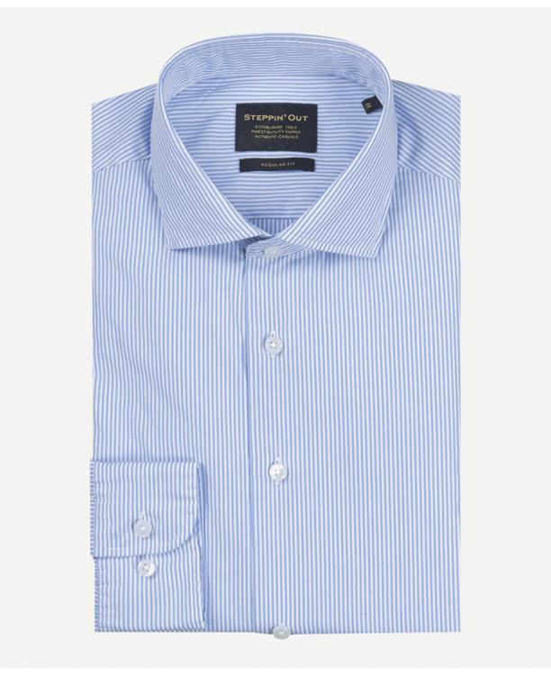 Small Stripe Shirt Cutaway