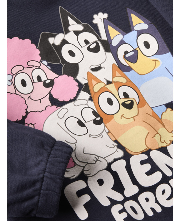 Standaard Pasvorm Ronde Hals Lange Mouwen (L/M) Meisjes