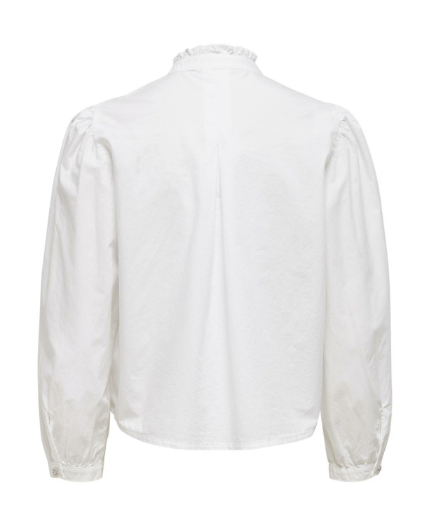 Regular Fit Shirt Collar Long Sleeves (L/S)