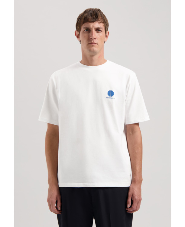 Dstrezzed Heren Jersey Korte Mouw Arctic T-Shirt