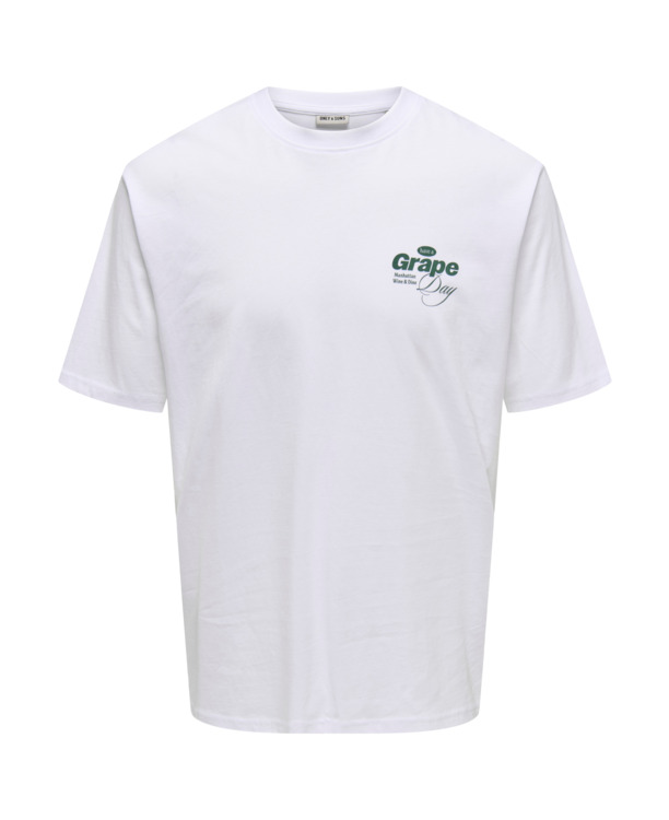 ONSALFRESCO RLX SS TEE