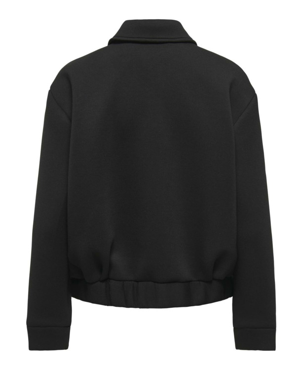 Spread Collar Long Sleeves (L/S)