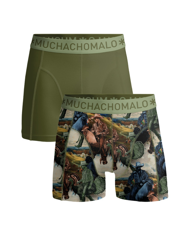 Heren 2-Pack Boxershort Print/Effen Print/Green