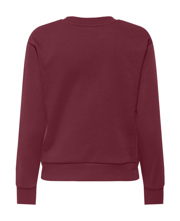 JDYPARIS L/S  EMB SWEAT JRS