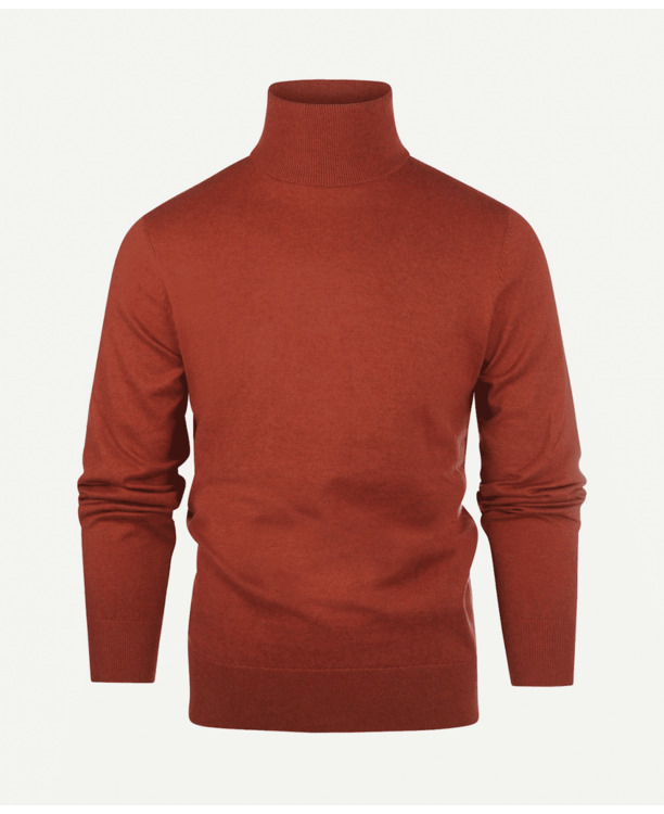 Roll neck Sweater