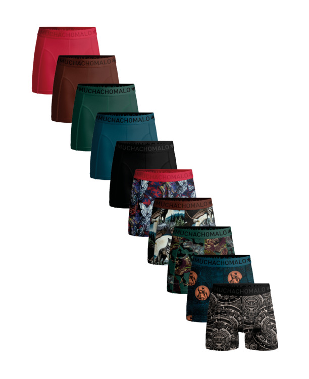 Heren 10-Pack Boxershort Print/Solid Print/Blue/Green/Brown/Red