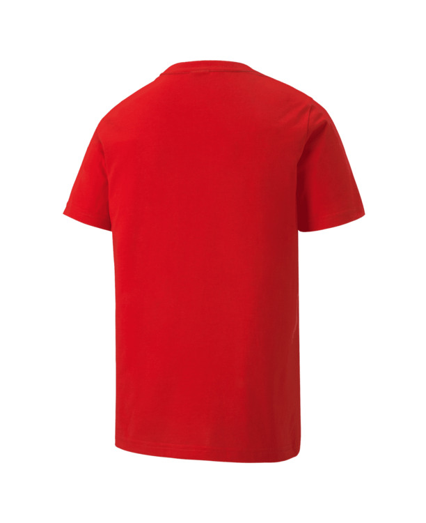 teamGOAL 23 Casuals Tee Jr Puma Red