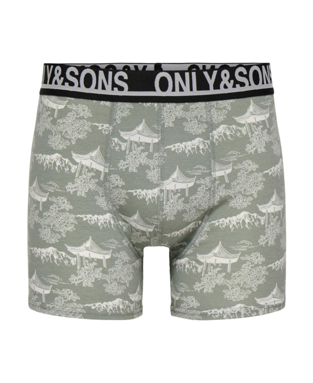 ONSFLOYD AOP TRUNKS 1-PACK Heren