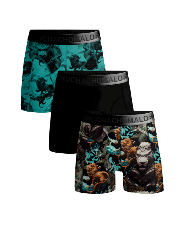 Men 3-Pack Boxer Shorts Print/Print/Solid