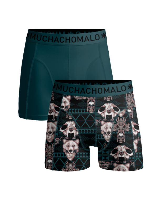 Mannen 2-Pack Print/Green