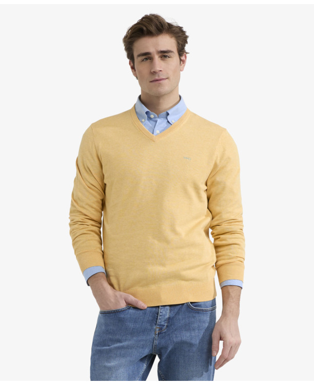 V-Neck Sweater 100% Cotton Heren