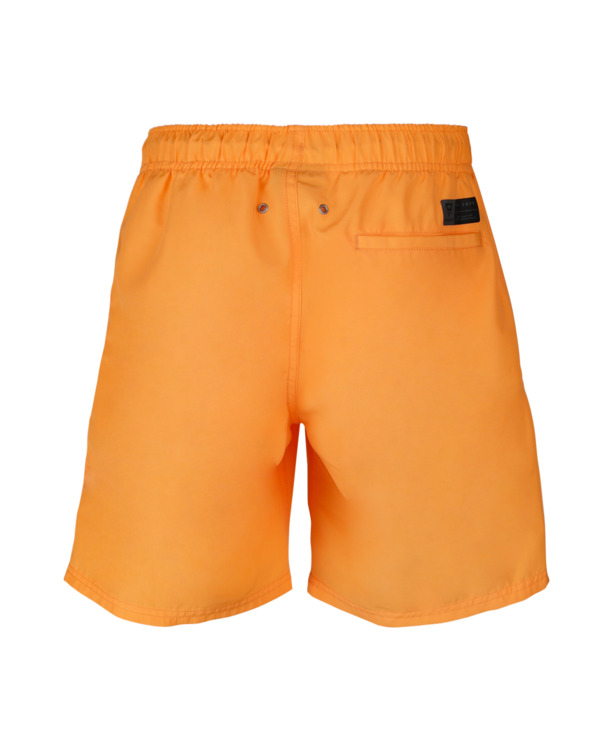 Hestey Boys Swimshort