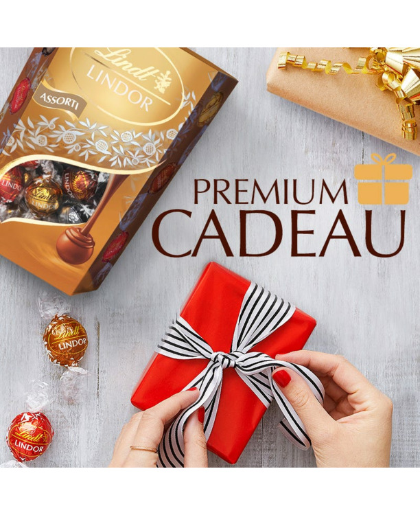 LINDOR Assorti chocolade bonbons 500g
