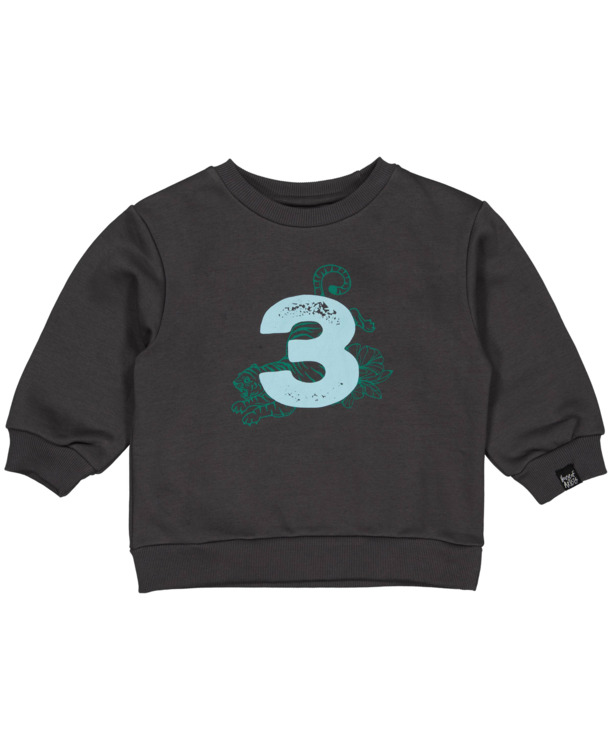 HOFABDAYSW03 Trui Uni