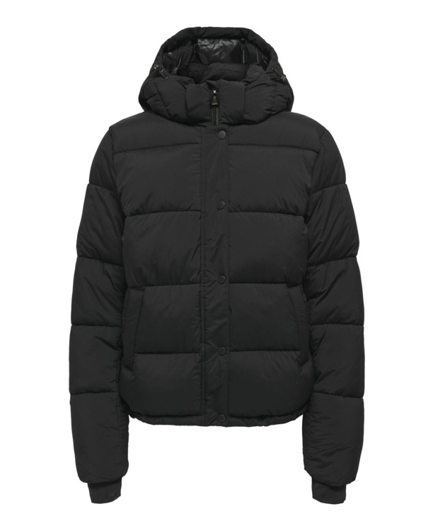 High Stand Up Collar Long Sleeves (L/S)