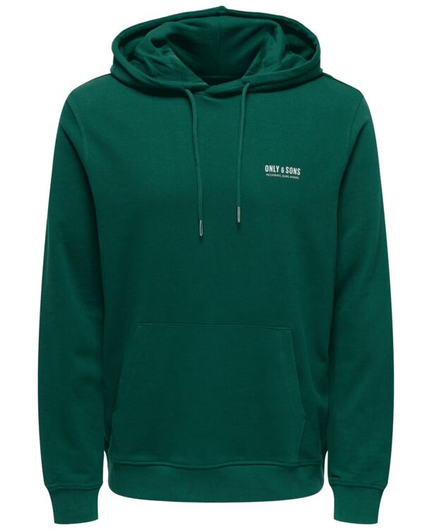 ONSALBERTO NEW LOGO HOODIE SWEAT