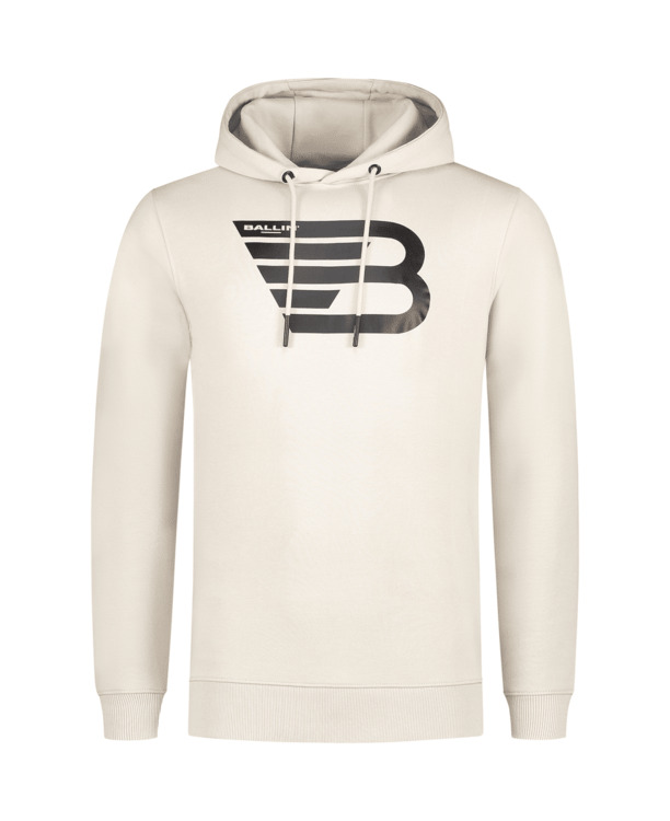 Original Icon Logo Hoodie