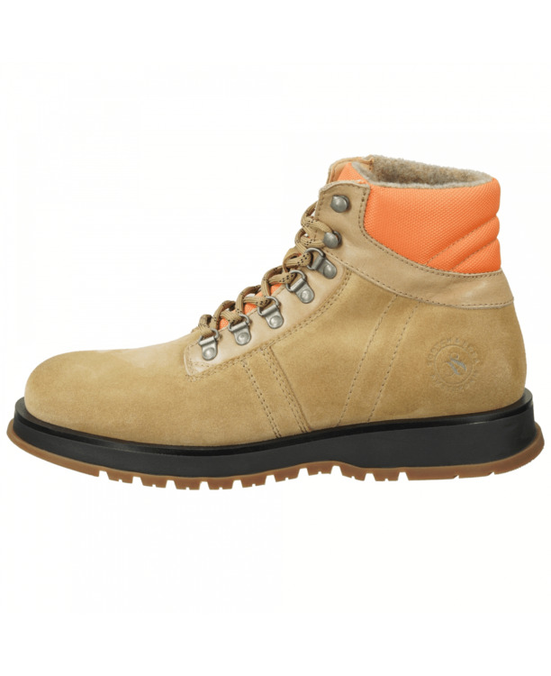 Belluno Middenlaars