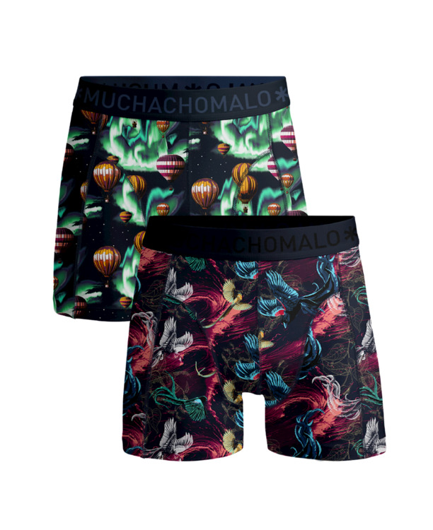 Heren 2-Pack Boxers Airelements Print/Print