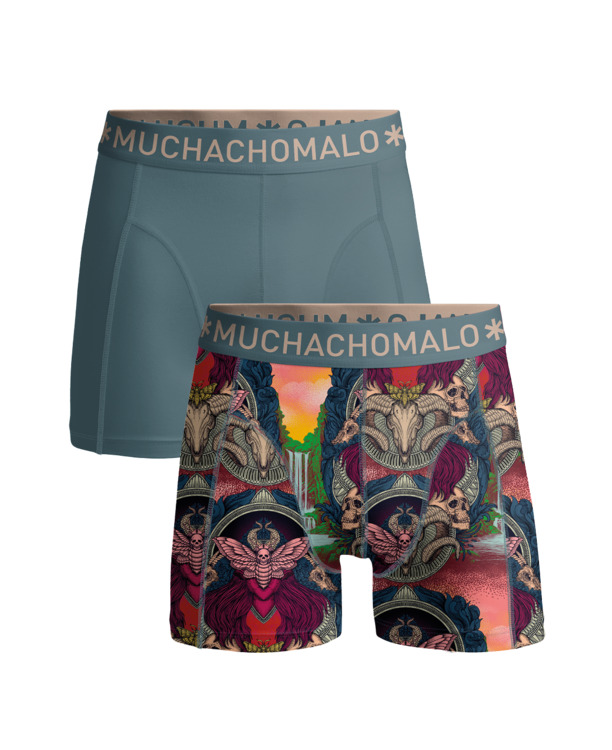 Heren 2-Pack Boxershort Print/Effen Print/Blue