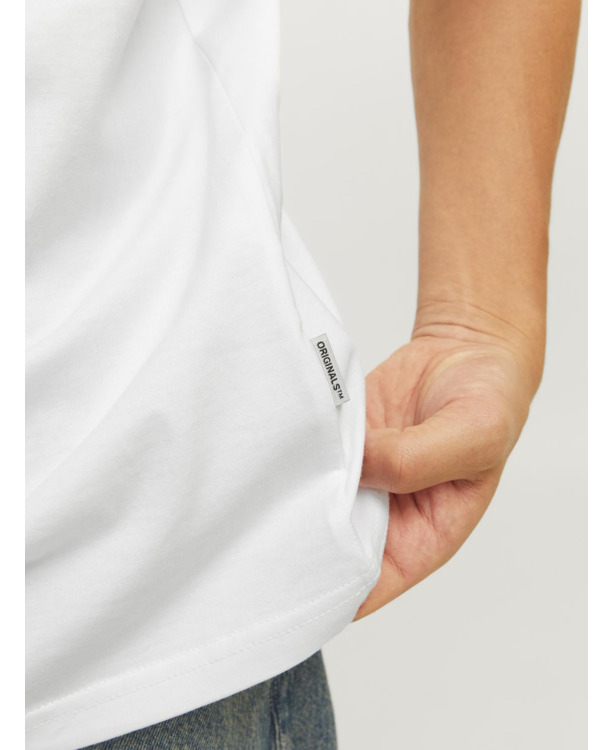 Regular Fit Crew Neck Short Sleeves (S/S)