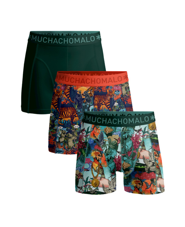 Jongens 3-pack Boxershorts Birdcat Print/Print/Green