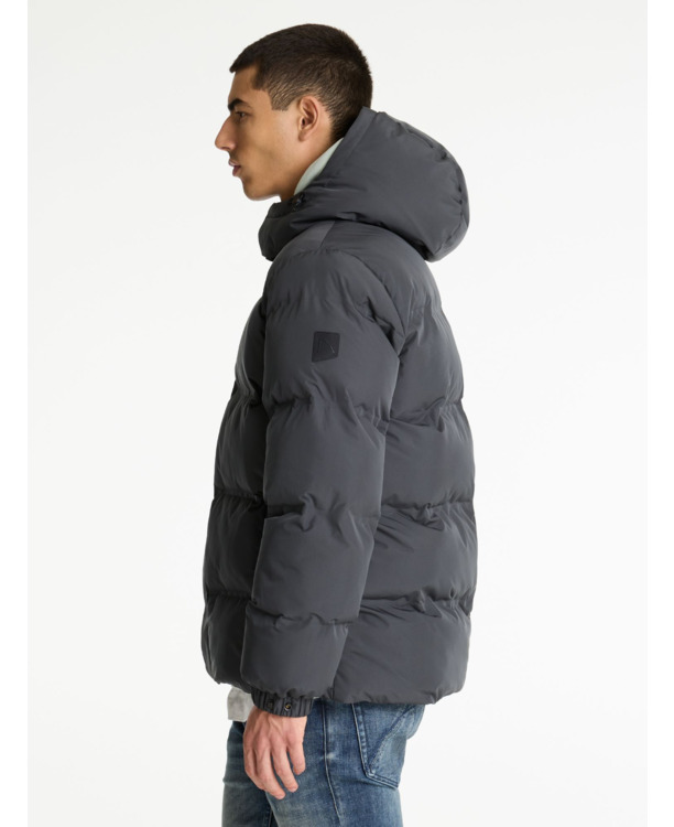 Chasin Heren Jas Nebula