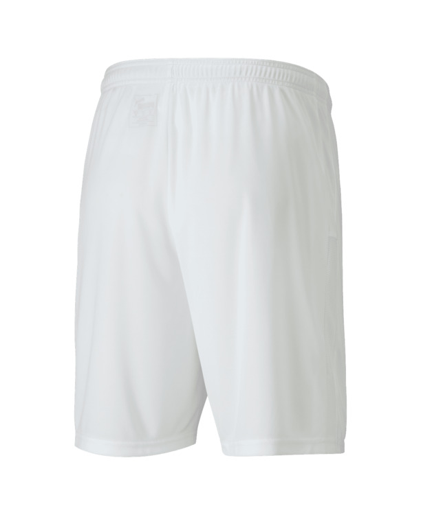 teamGOAL 23 knit Shorts Puma White