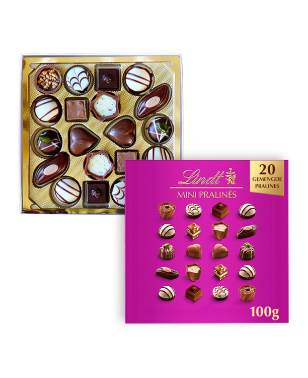 Lindt MINI PRALINES Box 100g