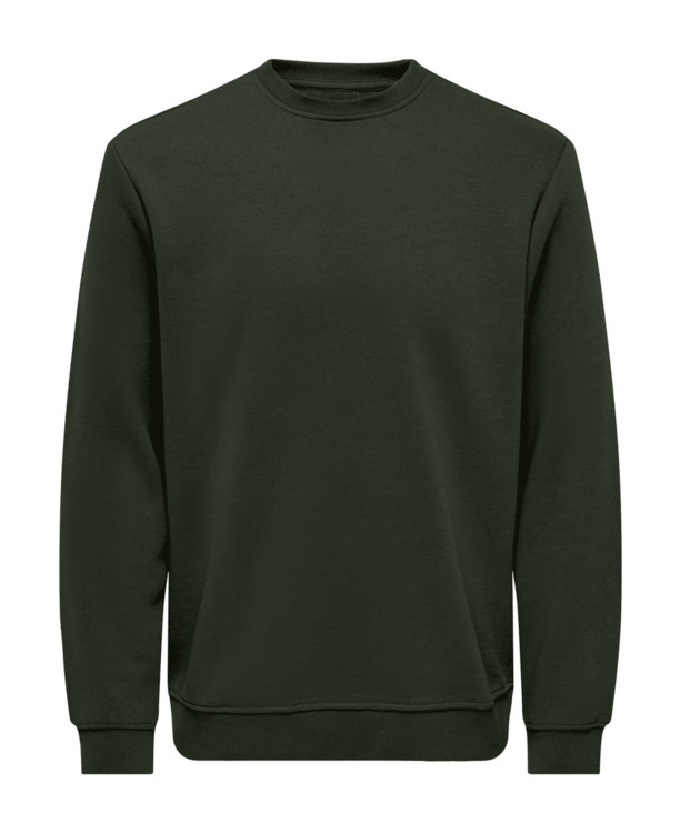 Regular Fit Crew Neck Lange Mouwen (L/S) Heren