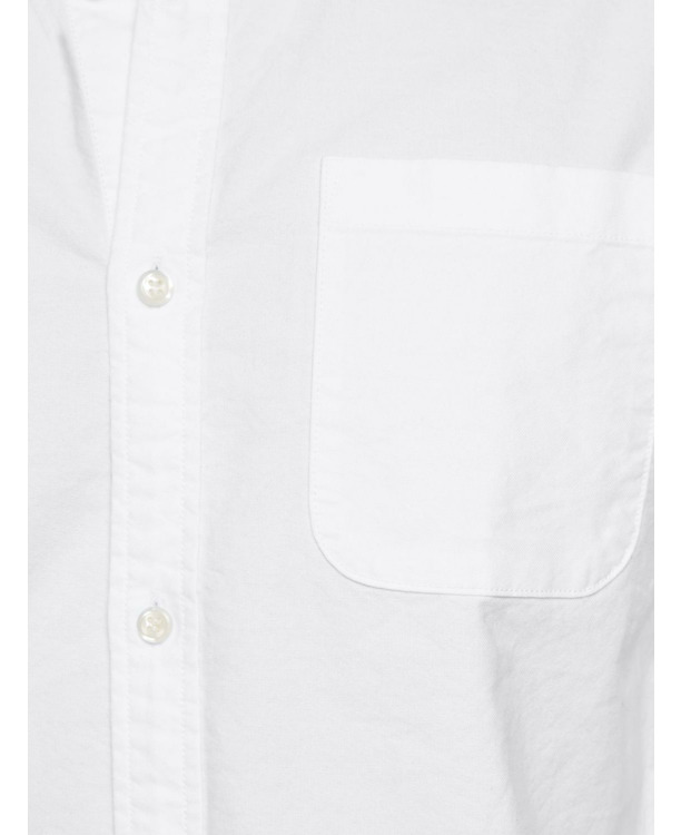 Regular Fit Button Down Collar Long Sleeves (L/S)