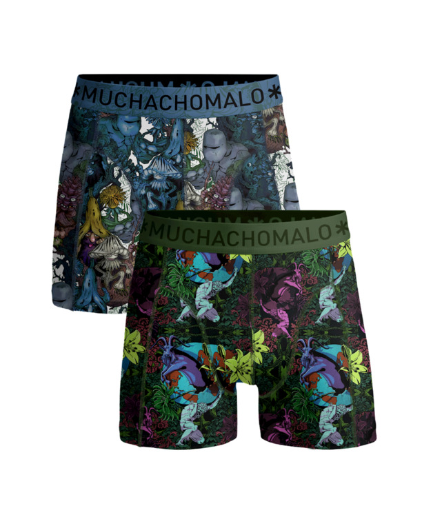 Jongens 2-Pack Boxershorts Earthelements Print/Print