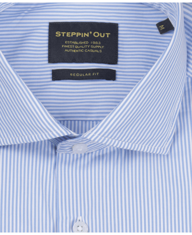 Small Stripe Shirt Cutaway