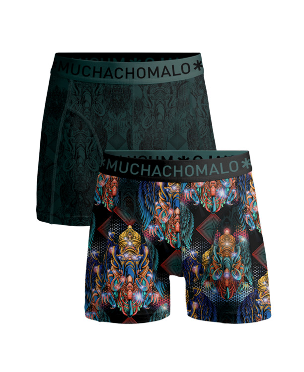 Jongens 2-Pack Shorts Myth Indo Print/Print
