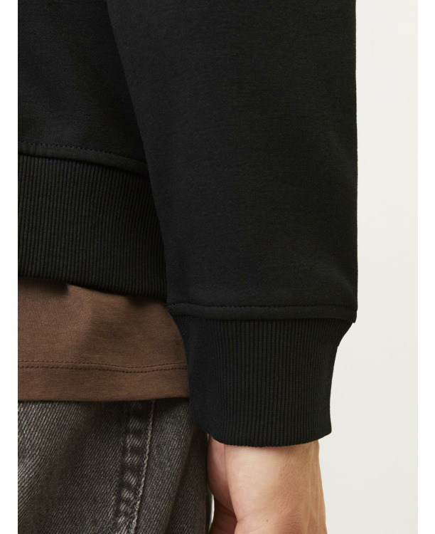 Regular Fit Hoodie (L/S)