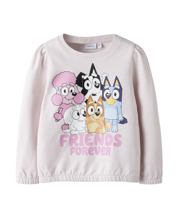 Standaard Pasvorm Ronde Hals Lange Mouwen (L/M) Vrouwen