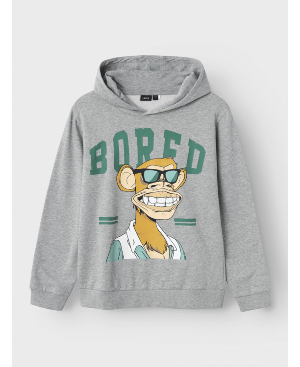 Regular Fit Hoodie Long Sleeves (L/S) Sweatshirt