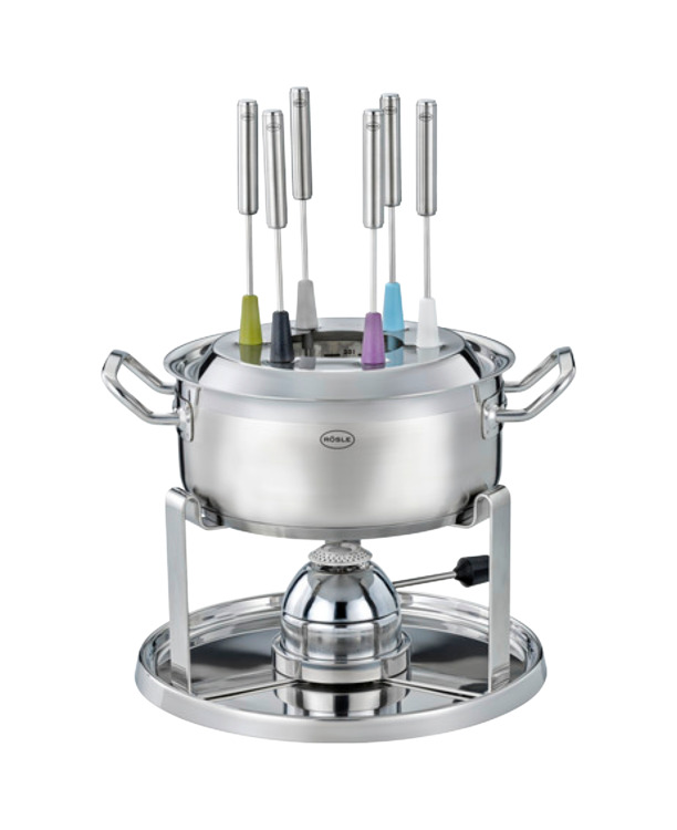 Fondue set compleet rvs