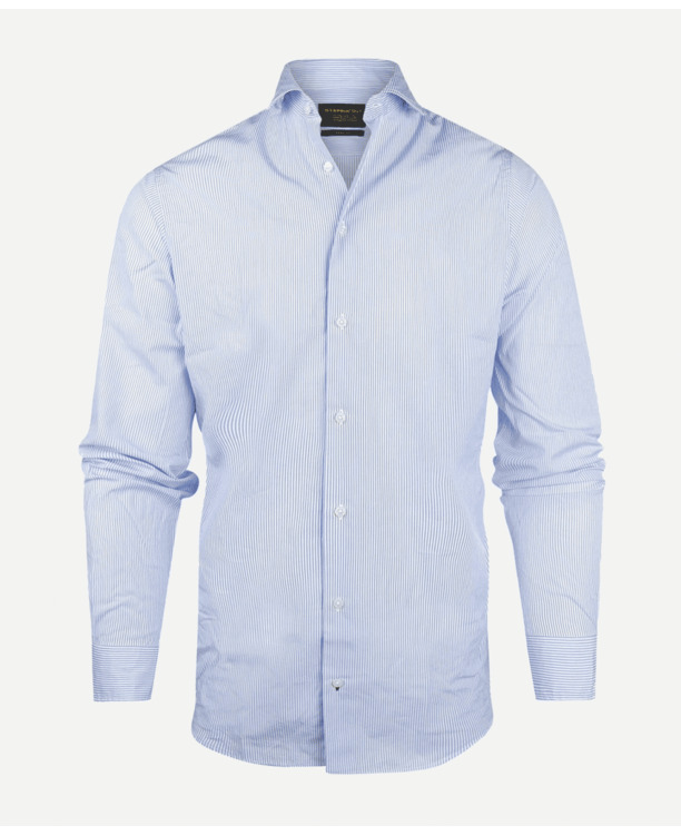 Small Stripe Shirt Cutaway