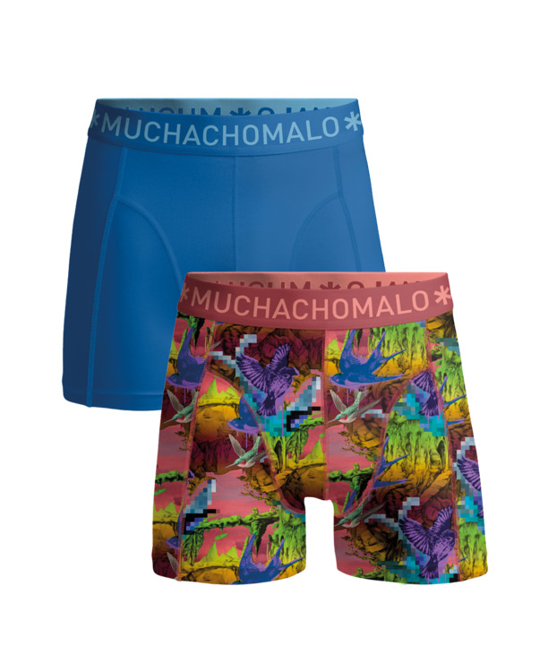 Jongens 2-Pack Boxershorts Print/Effen Print/Blue