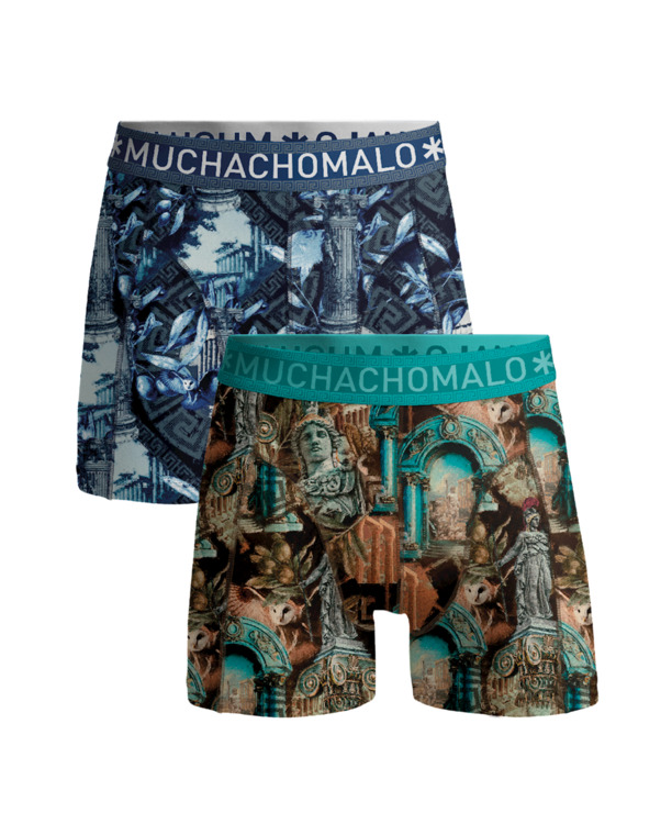 Heren 2-Pack Boxershorts Athene Print/Print